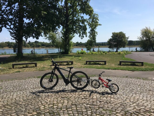 Sunny day in Germany: Out for a family bike tour along the river Rhine...